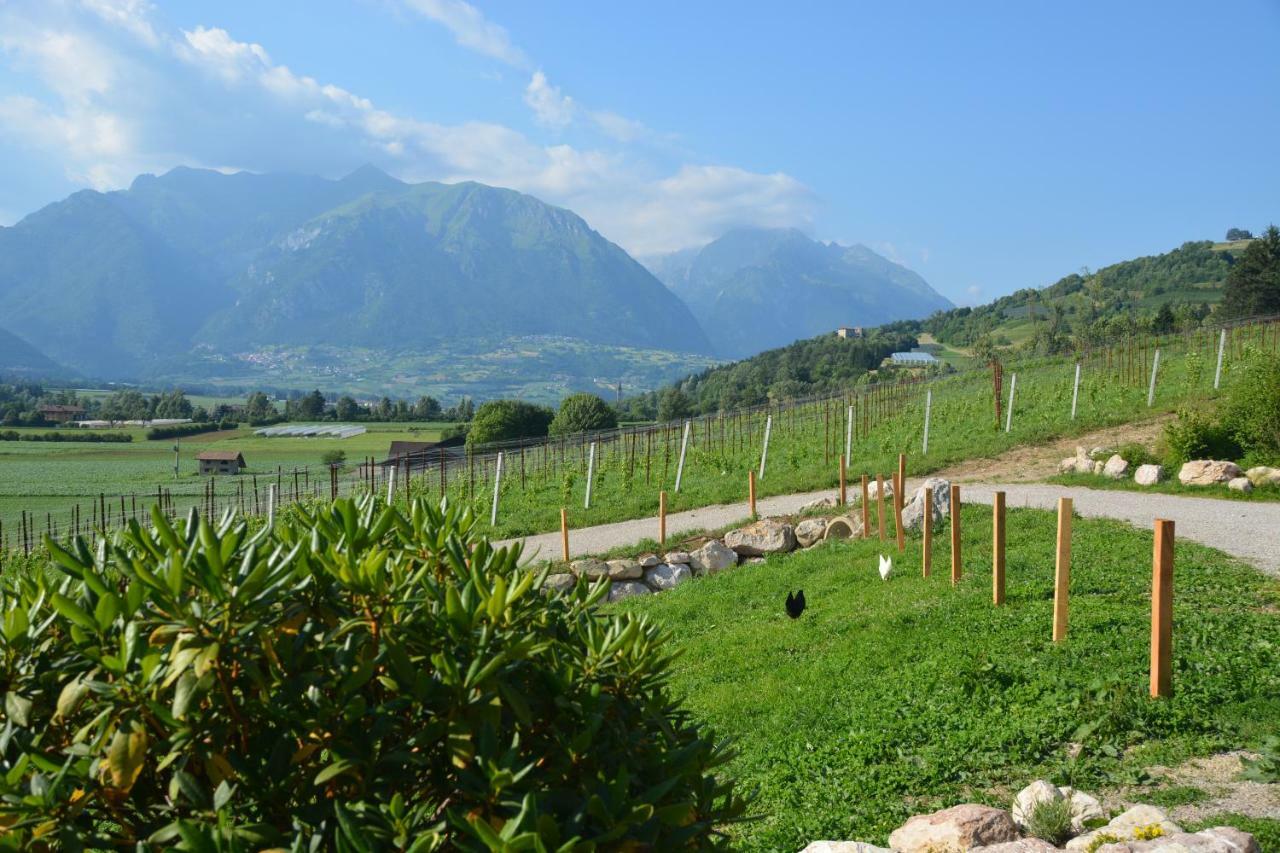 Agriturismo Maso Pertener -Adults Friendly- Comano Terme Εξωτερικό φωτογραφία